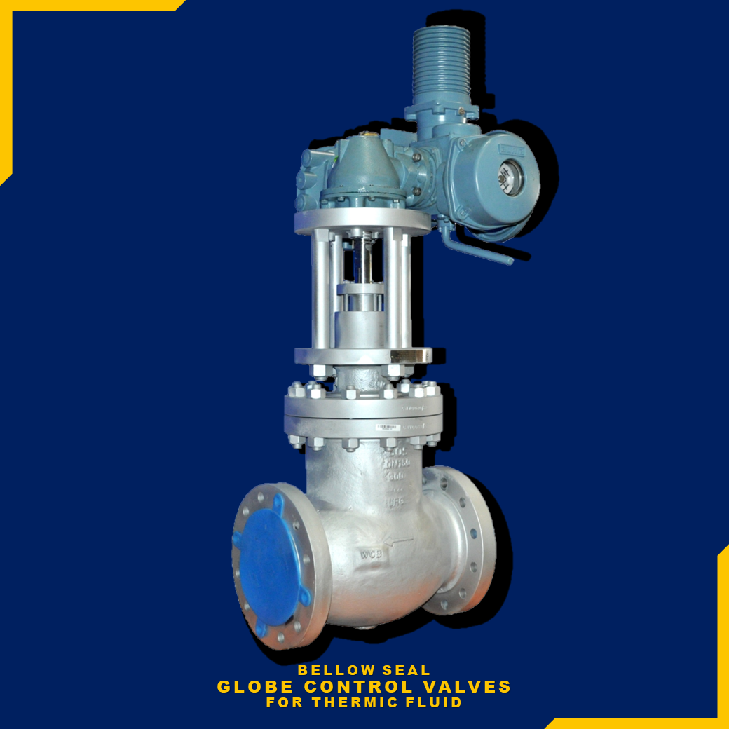 Globe control valves for thermic fluid
